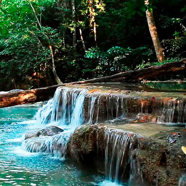 krabi-daily-tours-jungle-tour-hot-spring-waterfall-emerald-pool-3