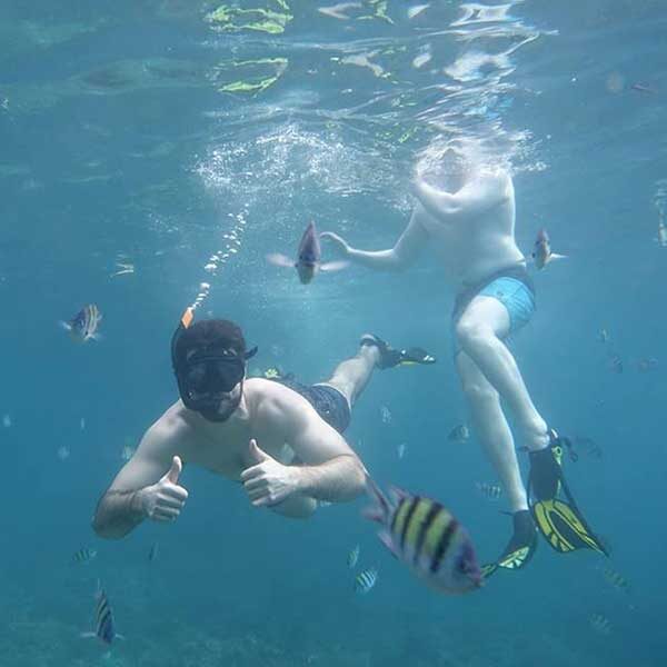 Half-Day-Afternoon-Phi-Phi-Island-Maya-Bay-Phuket