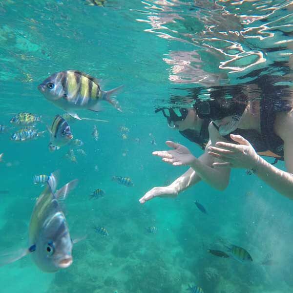 Premium-One-Day-Trip-Krabi-4-islands-Hopping-Tour-By-Speedboat-5