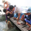 local-fish-farm-tour-phuket