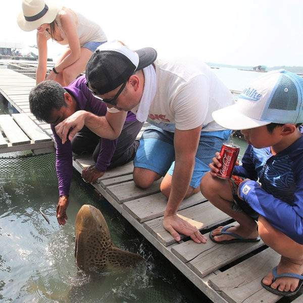 local-fish-farm-tour-phuket