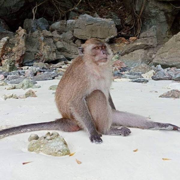 low-budget-full-day-trip-phi-phi-island-khai-nai-island-by-speedboat-2