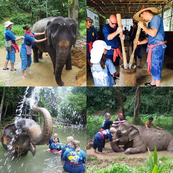 Full Day Elephant Sanctuary Phuket Phang Nga