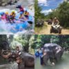 Full day Elephant Care White Water Rafting ATV Phuket Phang Nga