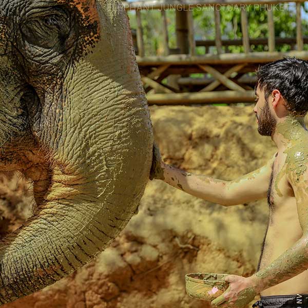 Full Day Walk With Elephant Jungle Sanctuary Phuket |