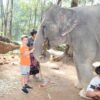 tour-thing-to-do-elephant-jungle-sanctuary-phuket-10