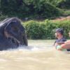 tour-thing-to-do-elephant-jungle-sanctuary-phuket-4