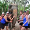 tour-thing-to-do-elephant-jungle-sanctuary-phuket-5