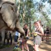 tour-thing-to-do-elephant-jungle-sanctuary-phuket-7