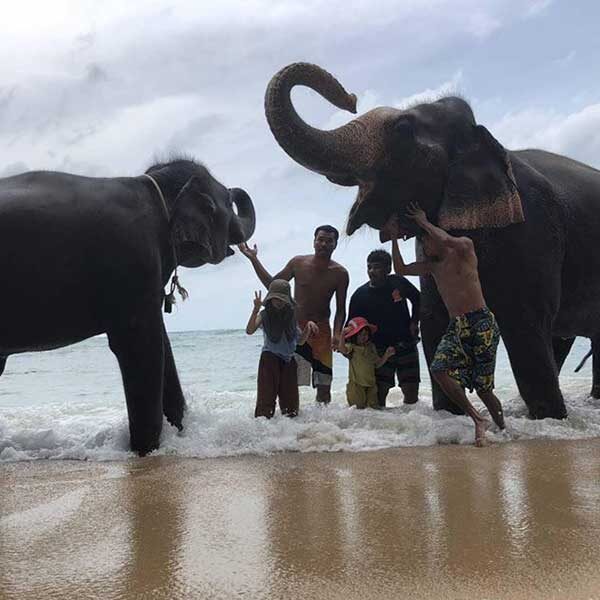 Swim-Shower-With-Elephant-On-The-Beach-Phuket-2