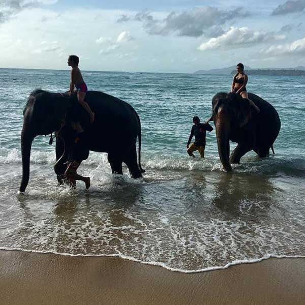 Swim-Shower-With-Elephant-On-The-Beach-Phuket-6