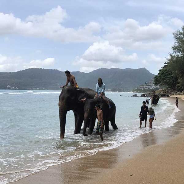 Swim-Shower-With-Elephant-On-The-Beach-Phuket