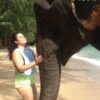 Swim-Shower-With-Elephant-On-The-Beach-Phuket-7