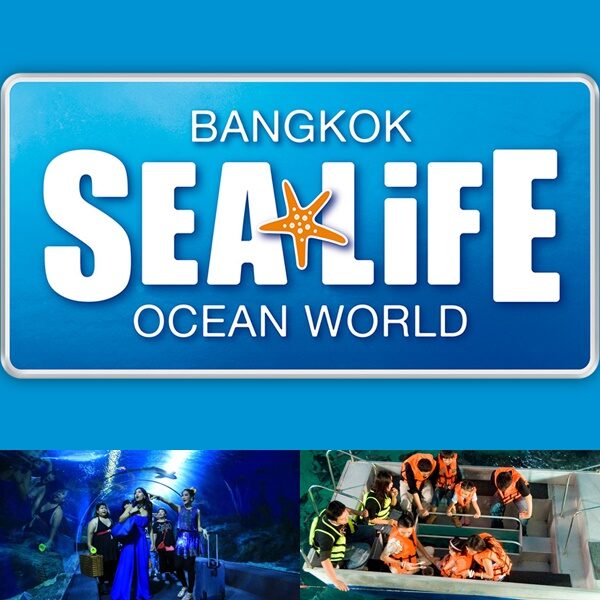 Book Ticket Sea Life Ocean World Bangkok-5