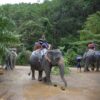 E.-Day-Trip-White-Water-Rafting-Elephant-Trekking-ATV-Flying-Fox-2 E.-Day-Trip-White-Water-Rafting-Elephant-Trekking-ATV-Flying-Fox-2