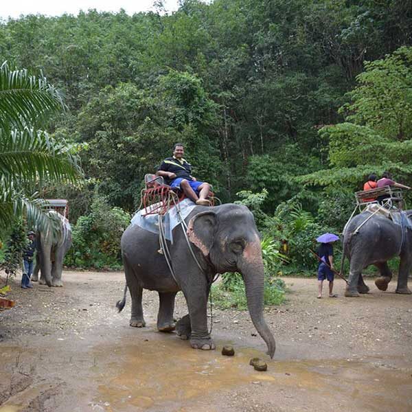 E.-Day-Trip-White-Water-Rafting-Elephant-Trekking-ATV-Flying-Fox-2 E.-Day-Trip-White-Water-Rafting-Elephant-Trekking-ATV-Flying-Fox-2