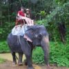 F1.-Day-Trip-Rafting-Flying-Fox-Elephant-Trekking-Bathing-ATV