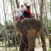 F1.-Day-Trip-Rafting-Flying-Fox-Elephant-Trekking-Bathing-ATV-6