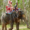 KL1.-Khao-Lak-Safari-Bamboo-Rafting-Elephant-Trekking-3
