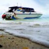 Krabi-Premium-Day-Trip-Phi-Phi-Island-Bamboo-Island-by-speedboat-6