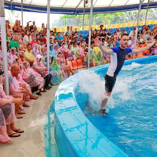 Dolphins-Show-Ticket-at-Nemo-Dolphins-Bay-Phuket-2