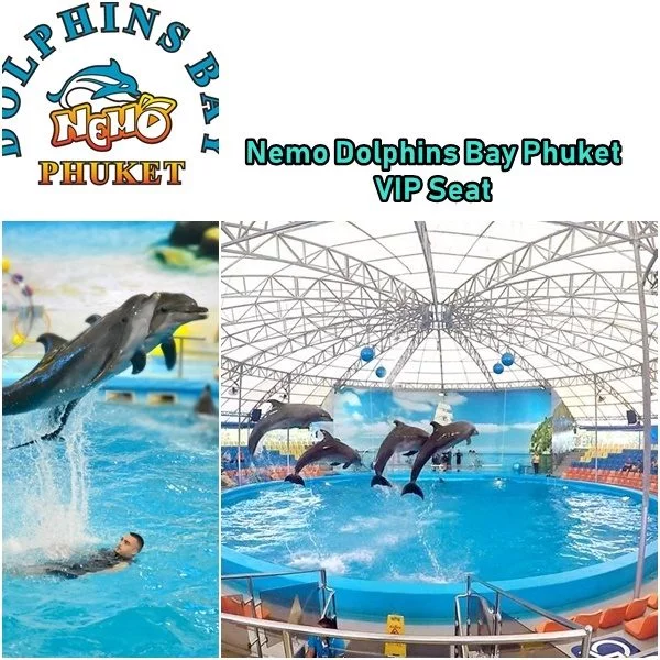 Nemo Dolphins Bay Phuket VIP Seat
