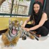Small-Tiger-Kingdom-Phuket-4
