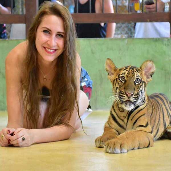 Ticket Phuket Tiger Kingdom Animal Encounter |