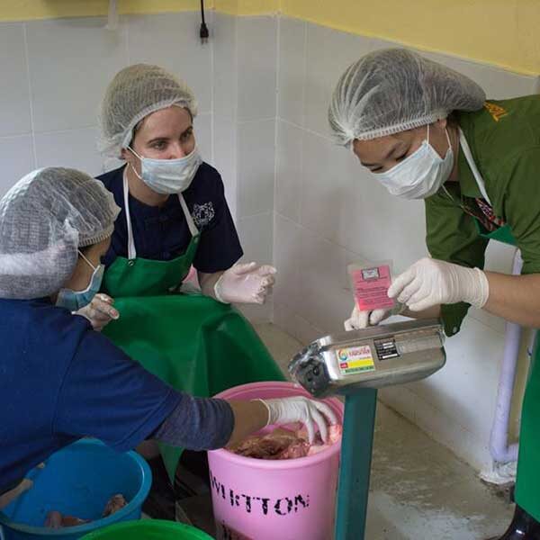 Tiger-Kingdom-Learning-Center-Chiang-Mai-3