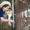 Tiger-Kingdom-Learning-Center-Chiang-Mai-5