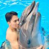 dolphins-show-ticket-swimming-with-dolphints