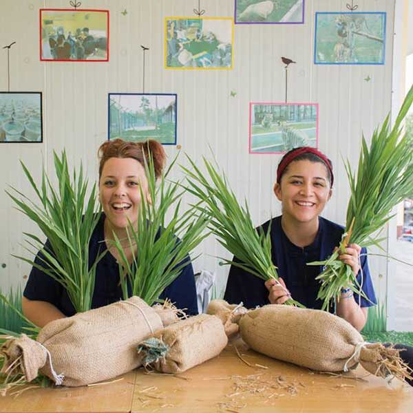 keeper-for-a-day-experience-full-day-tiger-zoo-chiang-mai