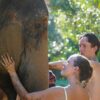 best-elephant-mud-spa-safari-tour