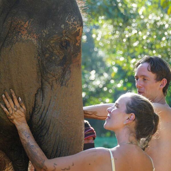 best-elephant-mud-spa-safari-tour