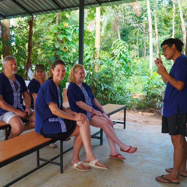 day-trip-samui-elephant-mud-spa