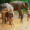 mud-spa-elephant-safari-tour-samui
