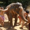samui-day-tour-love-elephant-spa-mud