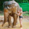 samui-day-trip-elephant-mud-spa