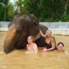 samui-elephant-spa-tour
