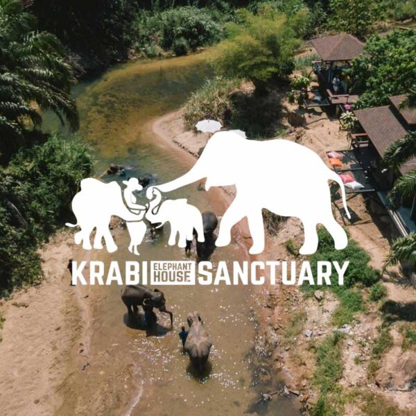 the-elephant-house-sanctuary-krabi
