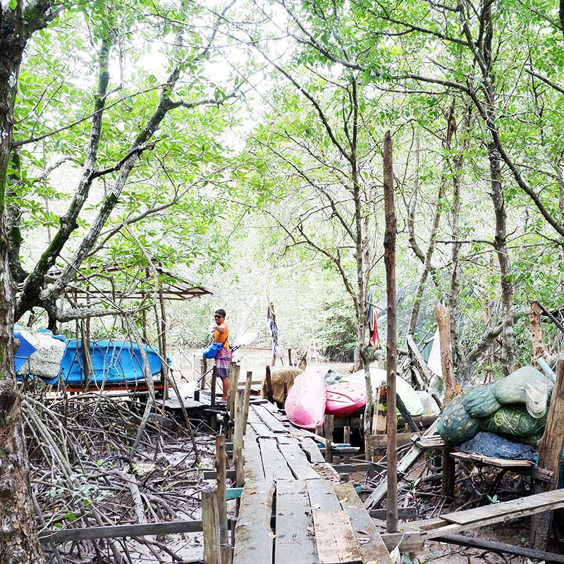 Koh-Yao-Yai-Kayaking-Tour-Mangrove-Forest-3 Koh-Yao-Yai-Kayaking-Tour-Mangrove-Forest-3