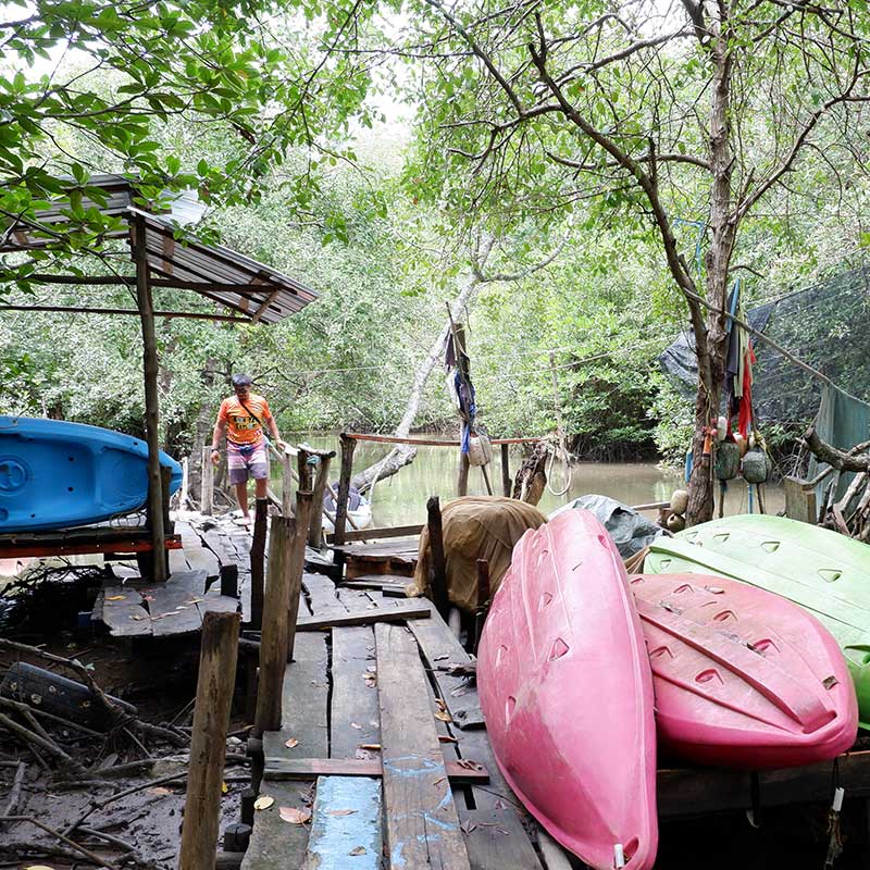 Koh-Yao-Yai-Kayaking-Tour-Mangrove-Forest-4 Koh-Yao-Yai-Kayaking-Tour-Mangrove-Forest-4