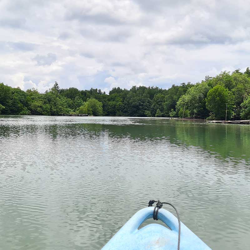 Koh-Yao-Yai-Kayaking-Tour-Mangrove-Forest-5 Koh-Yao-Yai-Kayaking-Tour-Mangrove-Forest-5