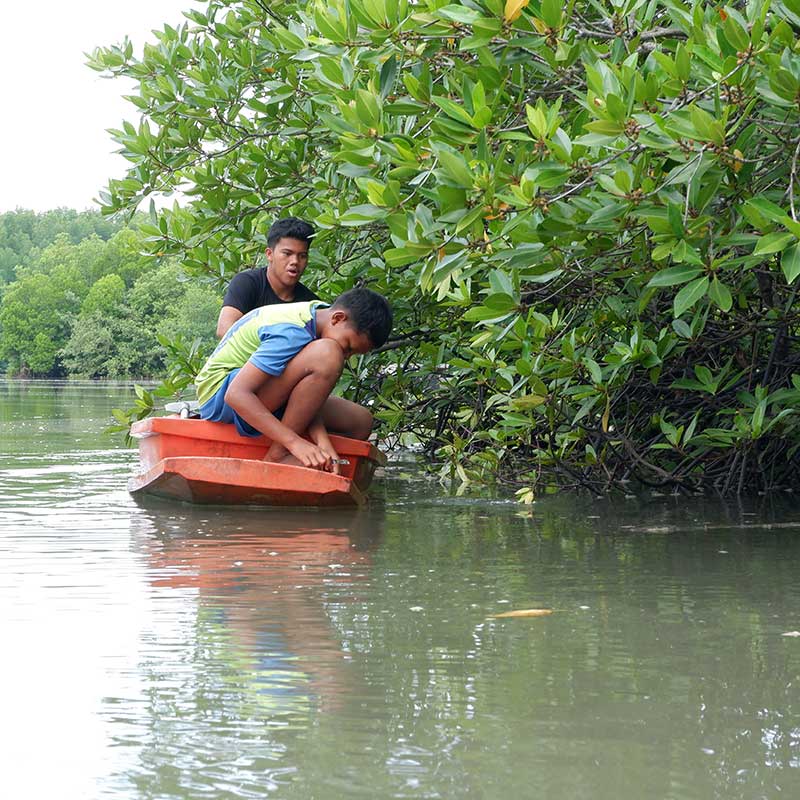 Koh-Yao-Yai-Kayaking-Tour-Mangrove-Forest-7 Koh-Yao-Yai-Kayaking-Tour-Mangrove-Forest-7