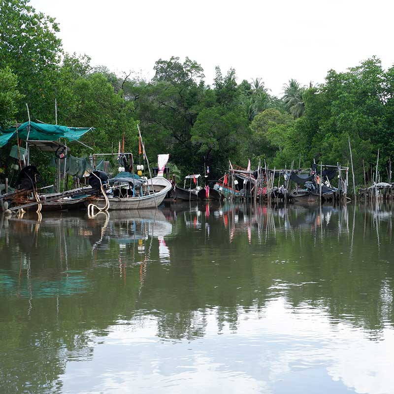 Koh-Yao-Yai-Kayaking-Tour-Mangrove-Forest-9 Koh-Yao-Yai-Kayaking-Tour-Mangrove-Forest-9