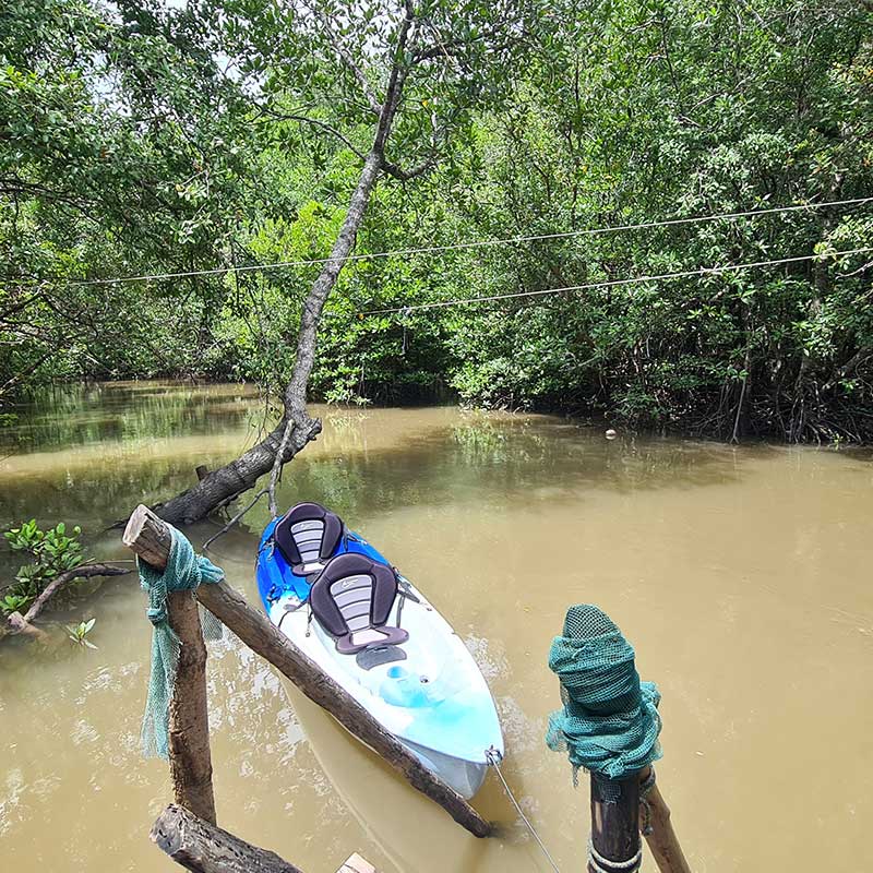 Koh-Yao-Yai-Kayaking-Tour-Mangrove-Forest Koh-Yao-Yai-Kayaking-Tour-Mangrove-Forest
