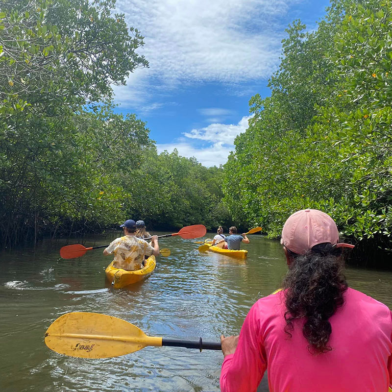 Yao-Yai-Island-Tours-Kayaking-Mangrove-Forest Yao-Yai-Island-Tours-Kayaking-Mangrove-Forest