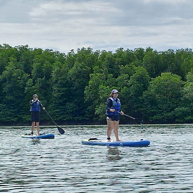 Yao-Yai-Island-Tours-Paddle-Kayaking-Mangrove-Forest-4 Yao-Yai-Island-Tours-Paddle-Kayaking-Mangrove-Forest-4