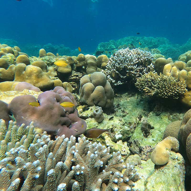 Phuket-Day-Trip-Surin-Island-Moken-Village-by-Speed-Catamaran-3 Phuket-Day-Trip-Surin-Island-Moken-Village-by-Speed-Catamaran-3