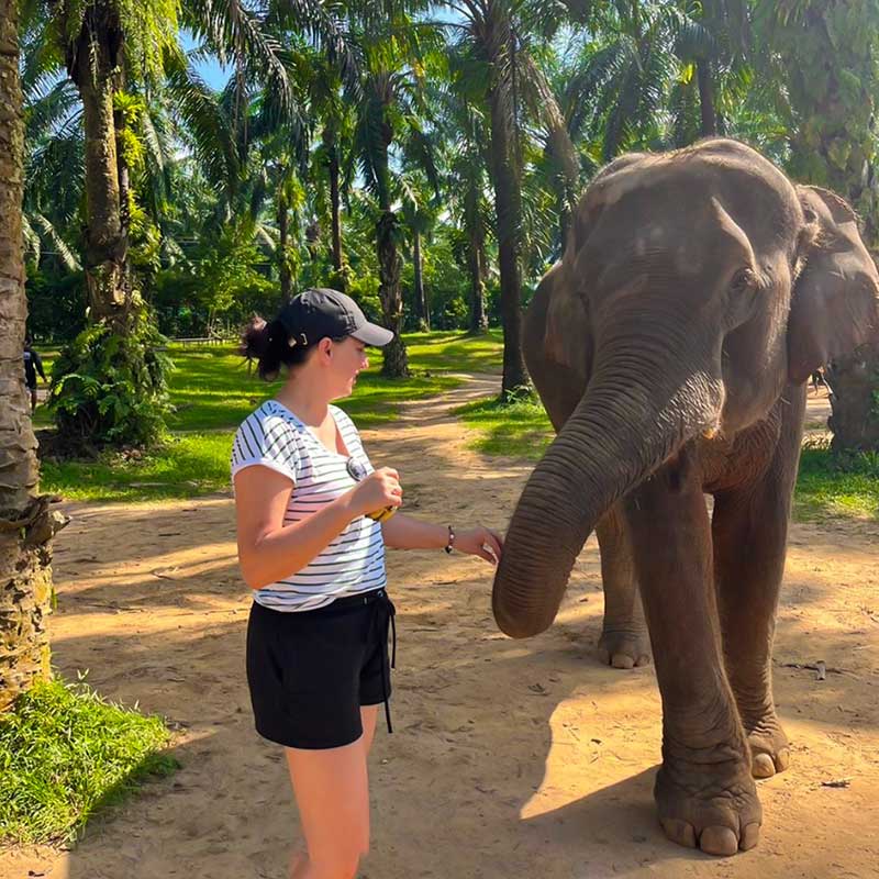 Krabi-Tour-Elephants-Care-Emerald-Pool-Hot-Spring-4 Krabi-Tour-Elephants-Care-Emerald-Pool-Hot-Spring-4